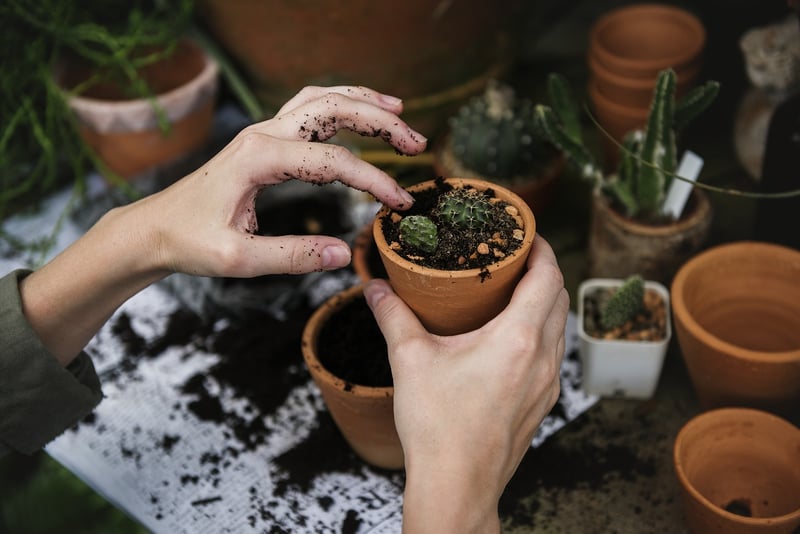 Eco-Friendly Favors